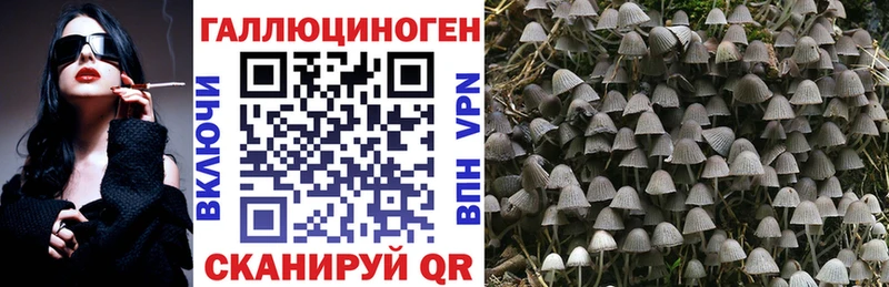 Псилоцибиновые грибы ЛСД  Кисловодск 